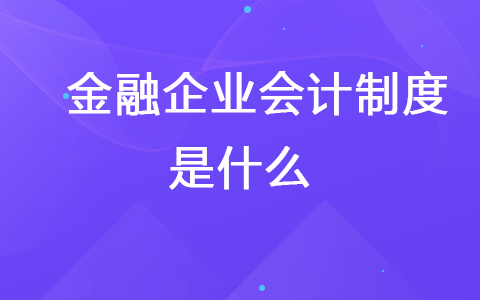 金融企业会计制度是什么